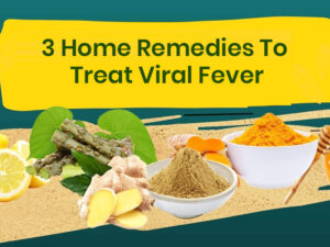 Blogs 20 big viralfeverremediess
