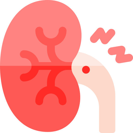 Renal stone