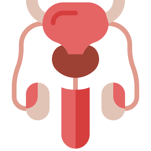 Benign prostatic hyperplasia